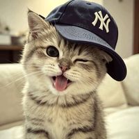 âm thanh gốc - Lý Văn Thanh