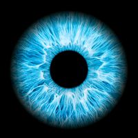 eyecare_optic_dz