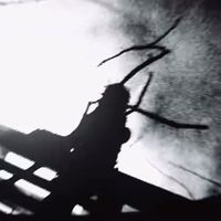 arkhameditz