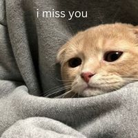 misshim4ever1