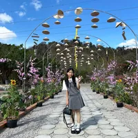 original sound - giabaodaobui_