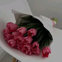 original sound - mtl00010