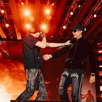 الصوت الأصلي