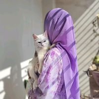 sanjidaofficial15