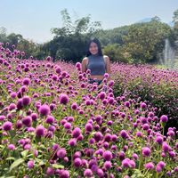 เสียงต้นฉบับ - เพื่อนเรียก จีจี้