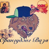 КУМБО ЗИТРА ФРИСТАЙЛ