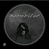 poetry.ki.duniya.billi