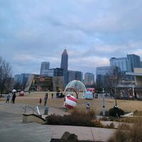 wilmeralexander544