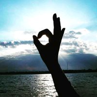 الصوت الأصلي