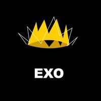 exonow31