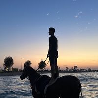 الصوت الأصلي