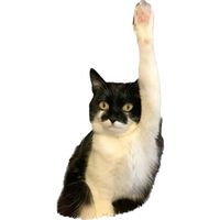 nhạc nền - Đang ăn ô mai ngọt