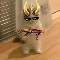 rata.no.encontrada.0