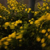 オリジナル楽曲 - A型女子