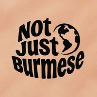 original sound - NotJustBurmese