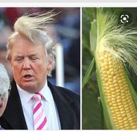 trump_has_corona