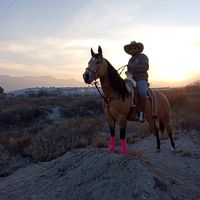 rafaelrojas_el_perri