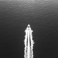 cotshvisuals1