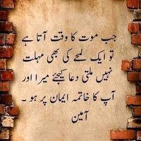 safdarhussain.369