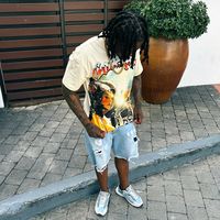 darion.v3