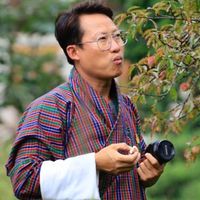 tshering8664