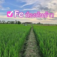 เสียงต้นฉบับ - Bam Boom