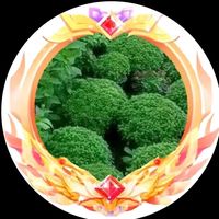 user2695732071382