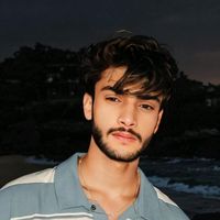 alihamzakhan7067