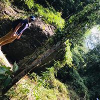 knoxlanka