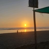 reeff.07