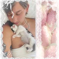 nic_chaase