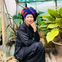 မူရင်းအသံ - nangohhmarkham