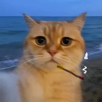 original sound - loc_ahihi04