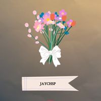 jaychsp39