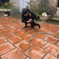 nhạc nền - Duongkien.