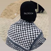 sd_30.04