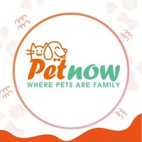 petnowtiktok