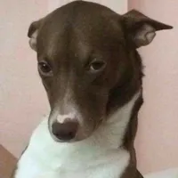 original sound - stark_470