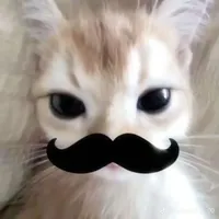 Ngo ngae ngo ngae ver. speed up