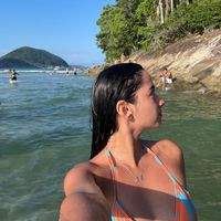 larigpalmeira