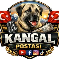 original sound - trkangalpostasi