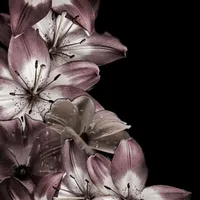 original sound - songs.aeth