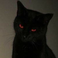 narminaad