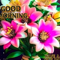 rathna.sri5
