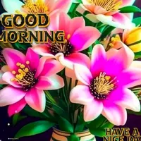 original sound - rathna.sri5