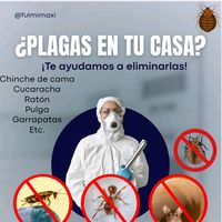 fumigacionfulmima