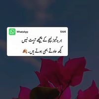 zidihoyaar19