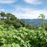 original sound - Aiza Maquirang Dela