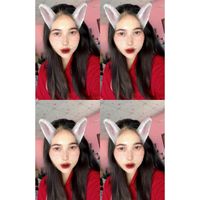 sopida_fern