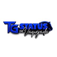 tg_statusdevaquejadaa